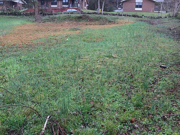5th image of 504 1st St