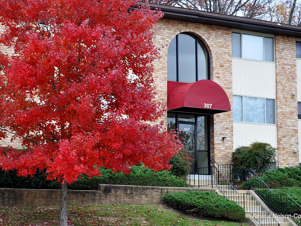 1st image of 305 Stevens Cir APT 3C