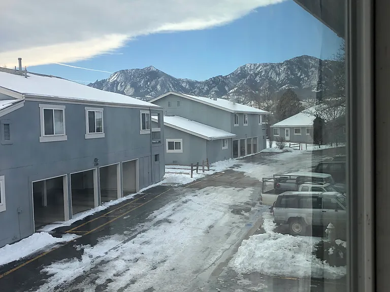 Winter view from living room window