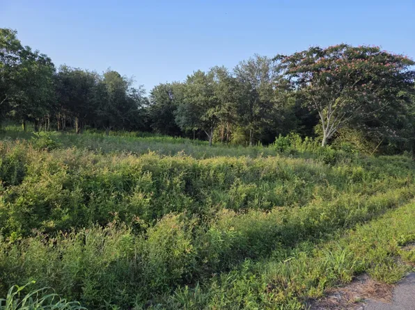 163 Moonlight Dr, Eutawville, SC 29048