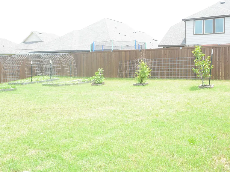 11612 E Silver Queen Dr — Photo 17