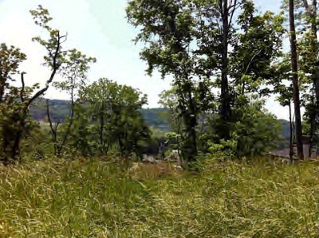 1st image of 00 Floral Drive LOT 38