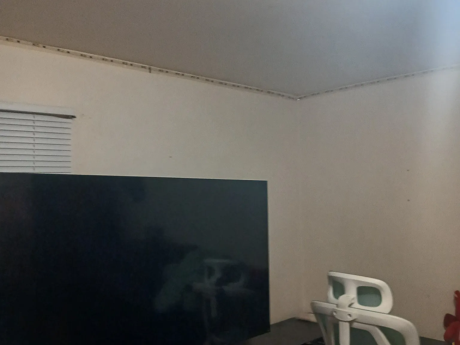 2 bed, 1.5 bath, 940 sqft, $500 — Photo 2