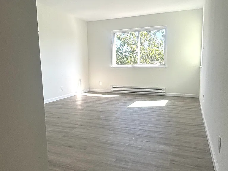 234 5th Ave #5 — Photo 5