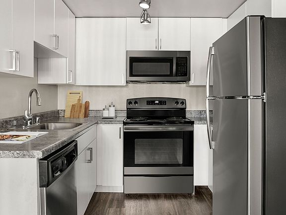 Chef-inspired kitchens with stainless steel appliances