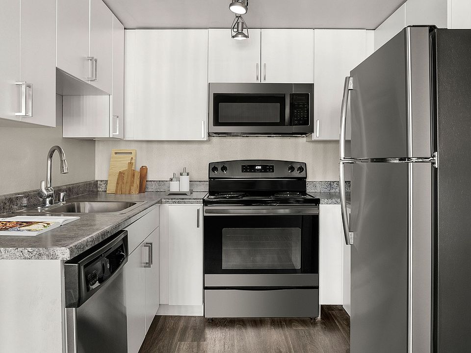 Chef-inspired kitchens with stainless steel appliances