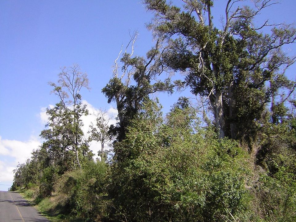 2nd image of Maikai Blvd Lot 5