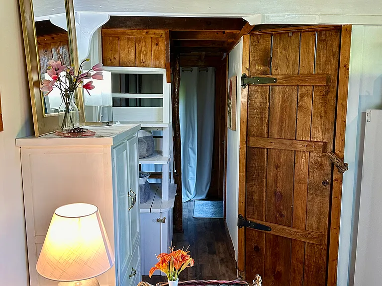 224 E Deep Creek Cir — Photo 8