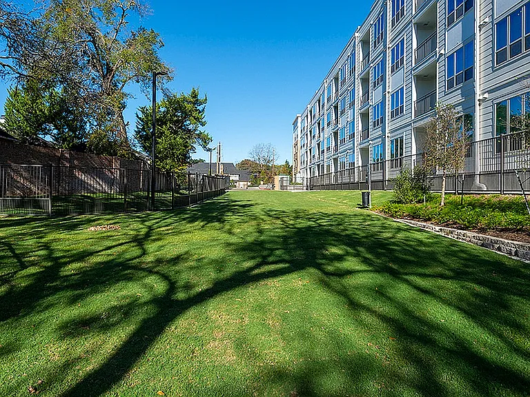 Vibrant greenery next to modern living.