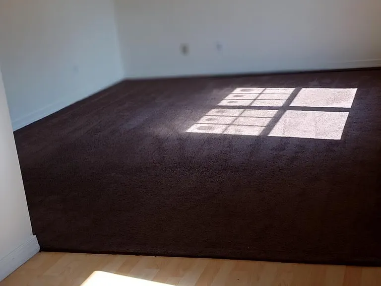 959 Windbourne St — Photo 22