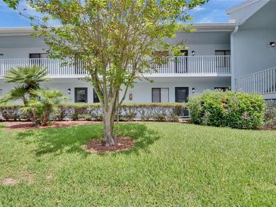 313 Martha Ln #4, Oldsmar, FL, 34677