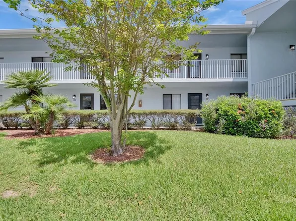 313 Martha Ln #4, Oldsmar, FL 34677