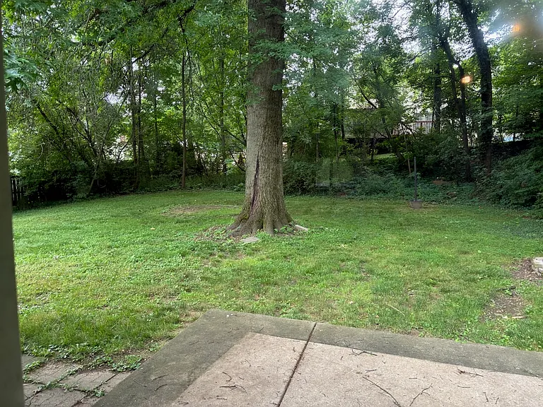 Cement patio outside french doors and huge shaded and nice yard