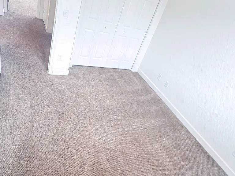 1125 Evergreen Ct — Photo 9
