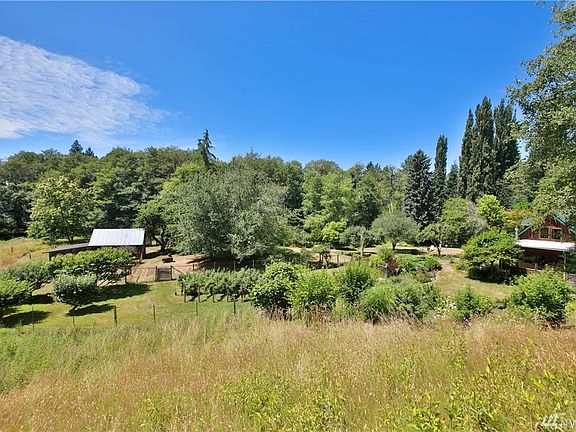 View reflecting the expanse of openness of this property.  House is to the right of photo and the outbuilding/workshop is to the left, beyond the mature orchard. 