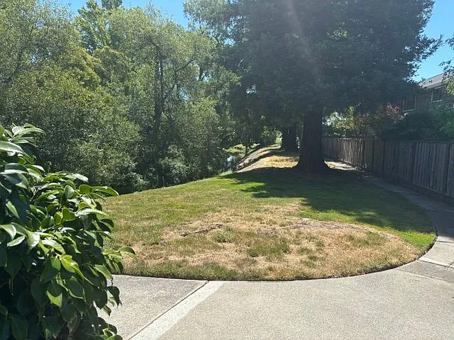 109 Miramonte Dr — Photo 4