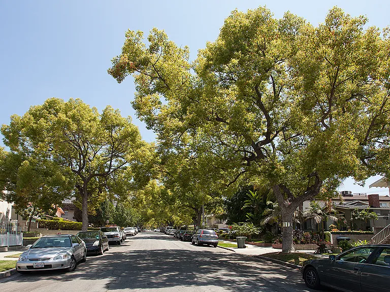 711 E Tujunga Ave #A — Photo 4