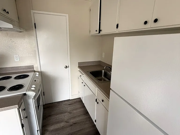318 Chestnut St #5 — Photo 41