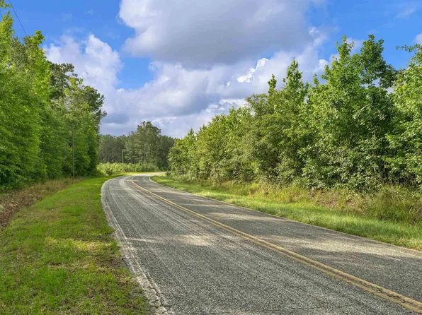 0 N Brewington Rd #10, Manning, SC 29102