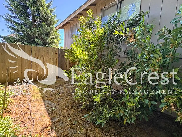 924 Shasta Dr — Photo 20