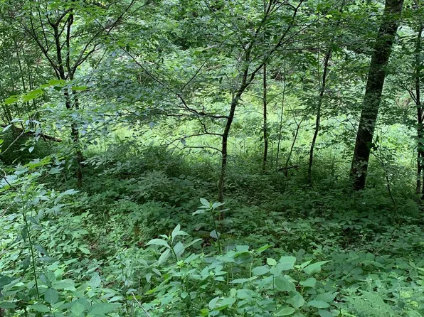 Route 5, Renick, WV 24966