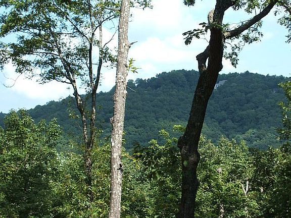 Year Round view