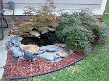 Pond w/Japanese Maple trees