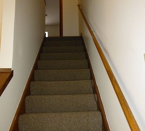 Carpeted stairway