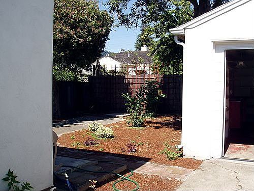 Back Yard and Garage
