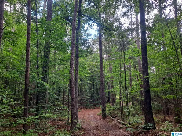 808 Fulton Hill Rd, Oakman, AL 35579