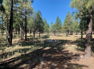 2852 Sparrow Dr LOT 3, Happy Jack, AZ 86024