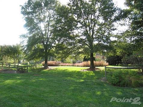 Walking Trail