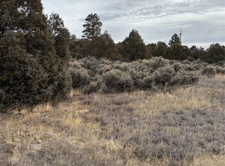 Lots 2 & 3 Parkview Hls, Los Ojos, NM 87551