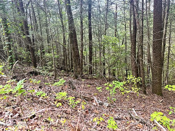 2nd image of 0 Montevallo Rd Lot 16