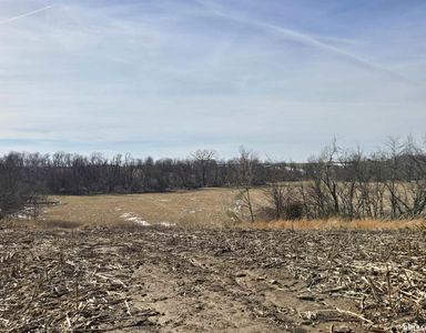 2460 N County Road 2500 E, La Harpe, IL, 61450