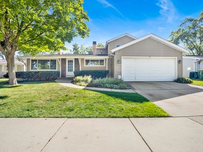 859 Beechwood Rd, Buffalo Grove, IL, 60089
