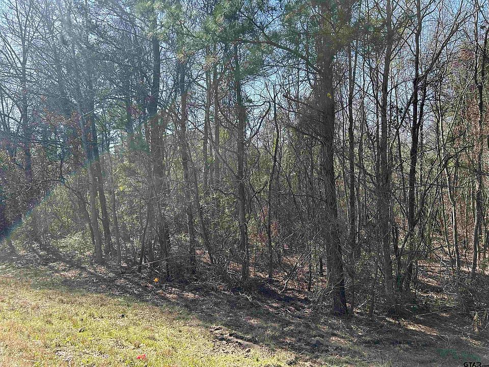 2nd image of 135 Tbd Hwy