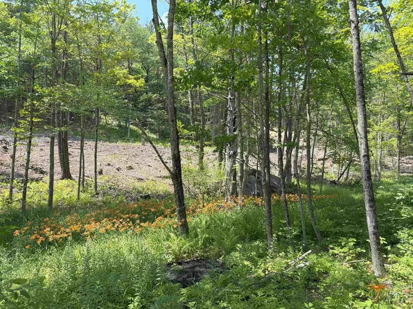 000 Province Road Tax Map 424 Lot 67, Gilmanton, NH 03237