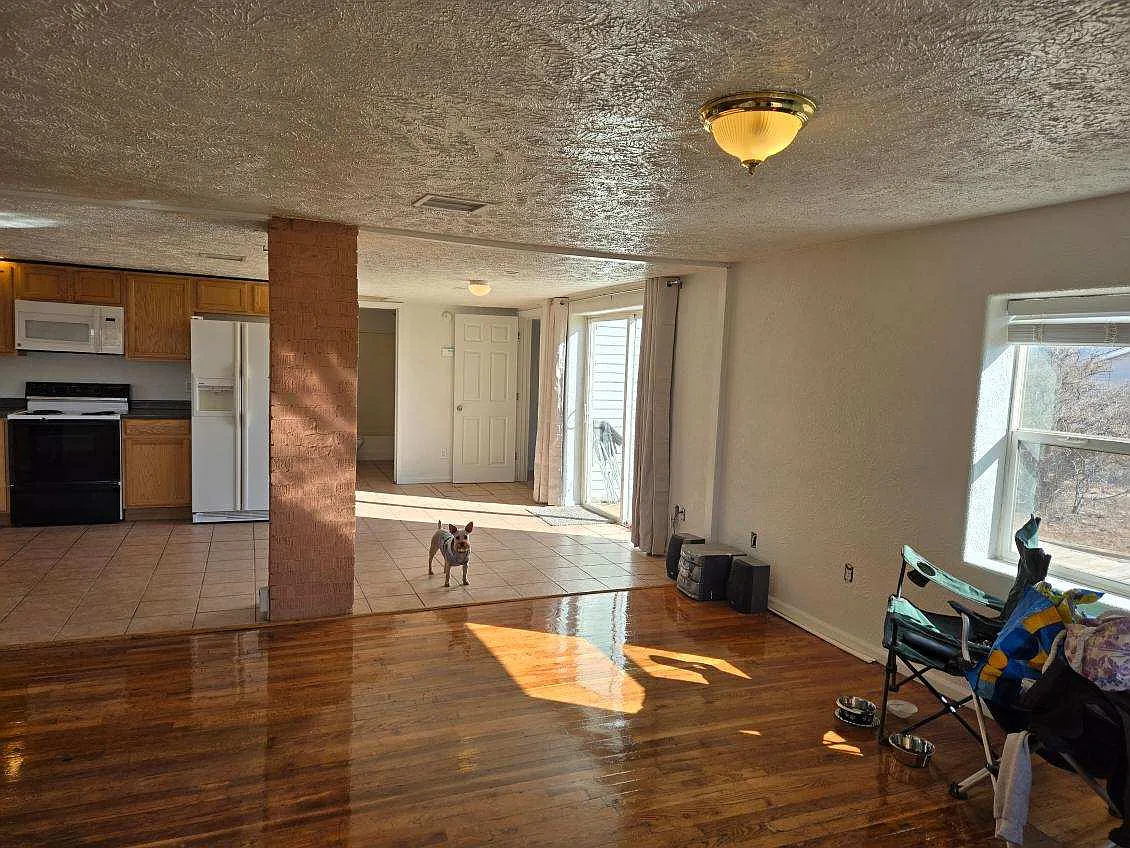 3 bed, 1450 sqft, $1,500 — Photo 3
