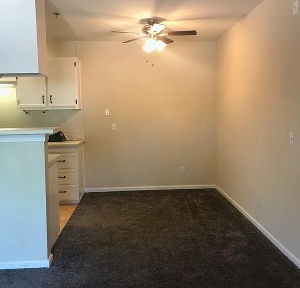 8201 Camino Colegio Dr — Photo 5
