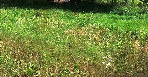 2nd image of 1334 N Brummitt Rd