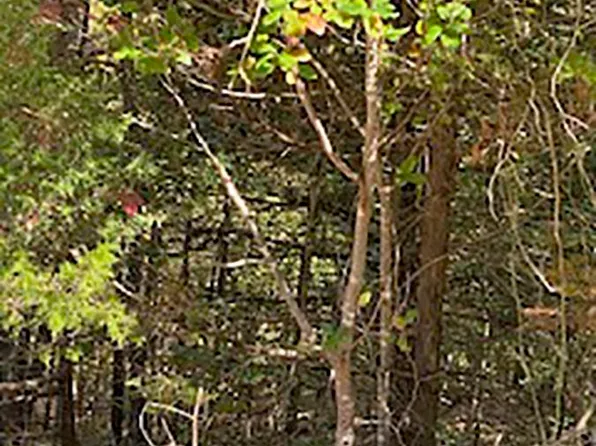 Tonto Dr, Cherokee Village, AR 72529