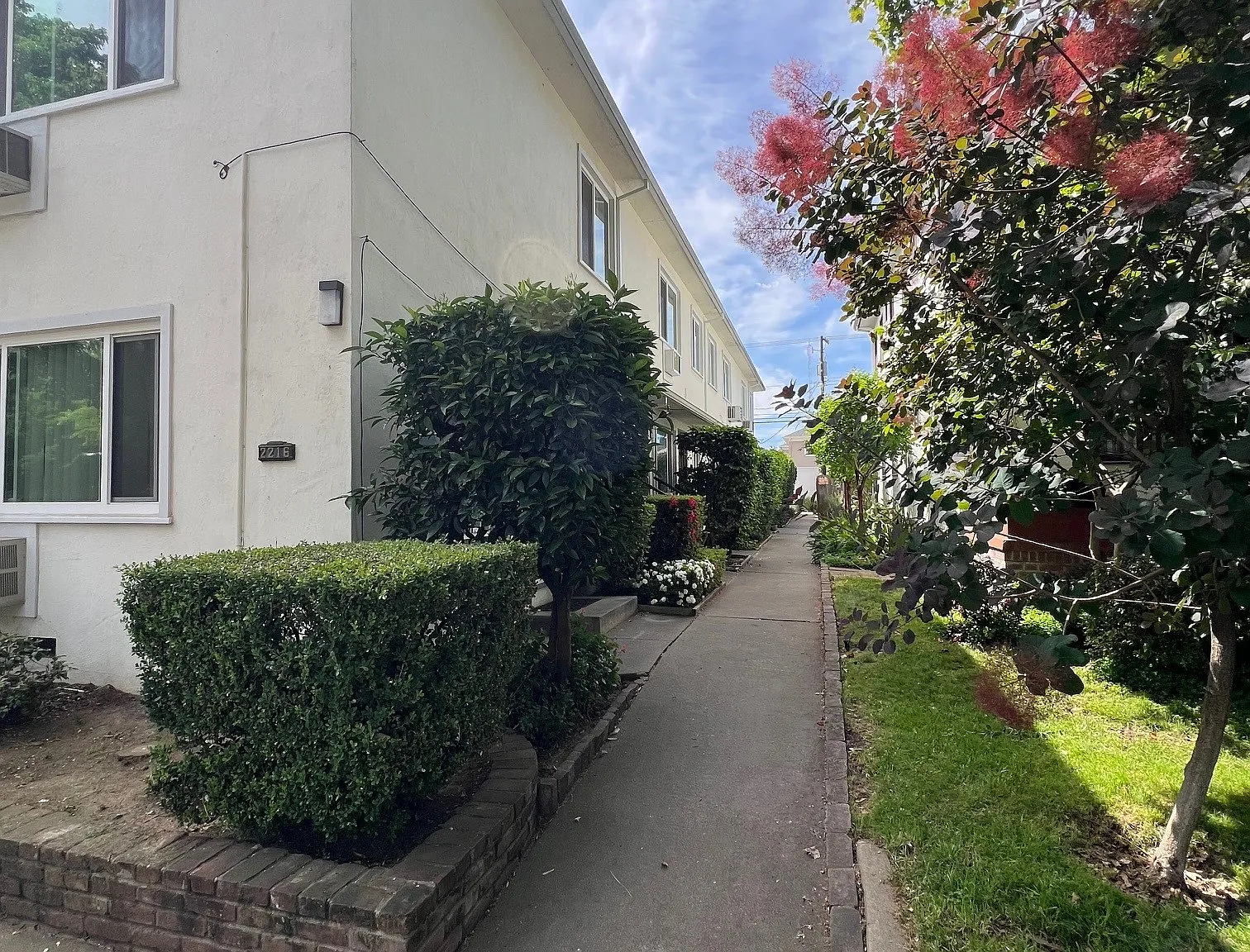 1 bed, 525 sqft, $1,800 — Photo 3