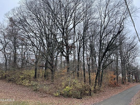 2nd image of 0 Millard Beets Rd NW Lot 1