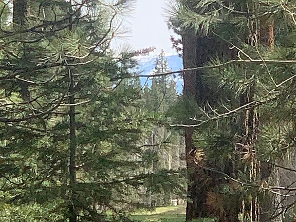 5th image of 7968 Tiger Ave