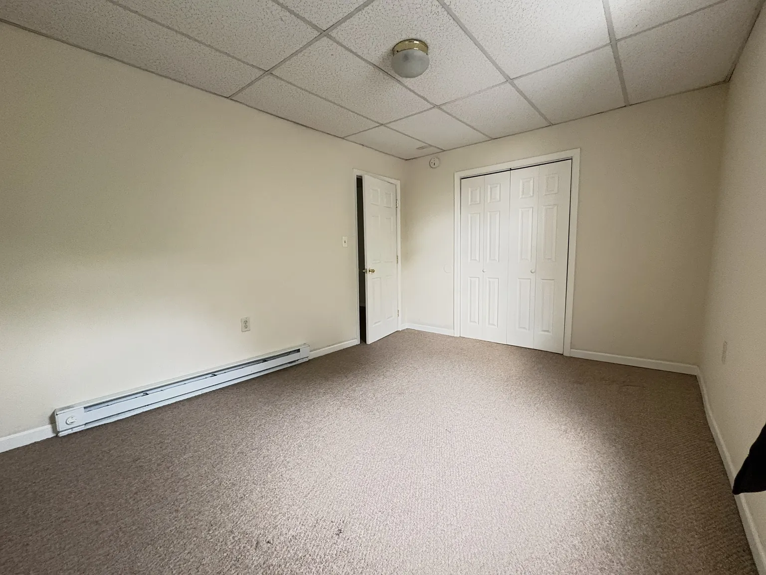 1 bed, $950 — Photo 4