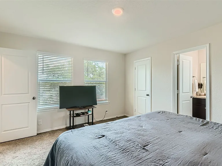 15347 Shortwing — Photo 16