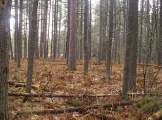 Nor Sable Pines Trail Lovells, Grayling, MI 49738