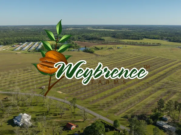 8210 N Church St, Meigs, GA 31765