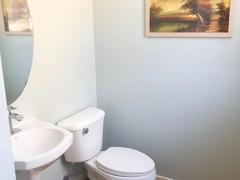 Pedestal sink and water saving toilet